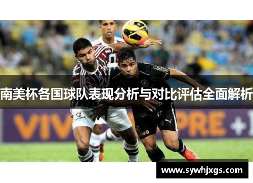 南美杯各国球队表现分析与对比评估全面解析