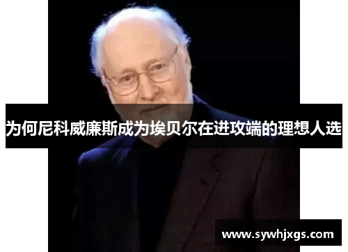 为何尼科威廉斯成为埃贝尔在进攻端的理想人选