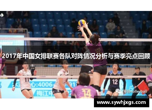 2017年中国女排联赛各队对阵情况分析与赛季亮点回顾