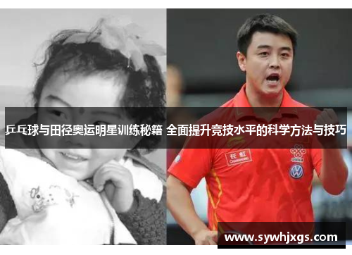 乒乓球与田径奥运明星训练秘籍 全面提升竞技水平的科学方法与技巧