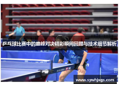 乒乓球比赛中的巅峰对决精彩瞬间回顾与技术细节解析