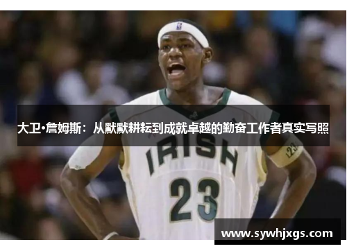 大卫·詹姆斯：从默默耕耘到成就卓越的勤奋工作者真实写照